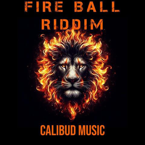 FIRE BALL RIDDIM