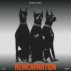 Reincarnation