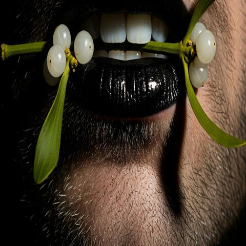 Mistletoe Mistress