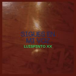 Sigues en mi voz