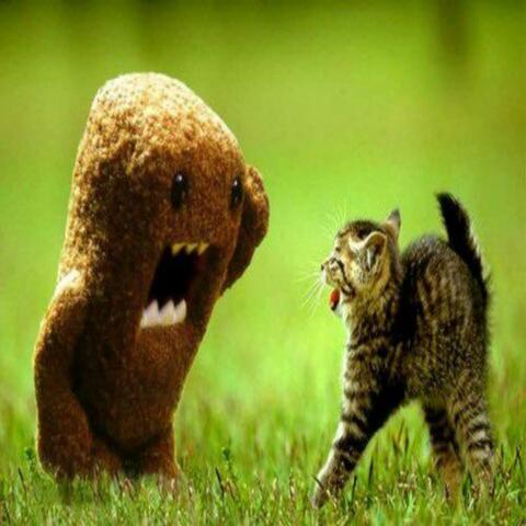 you hurt me and i still havent healed