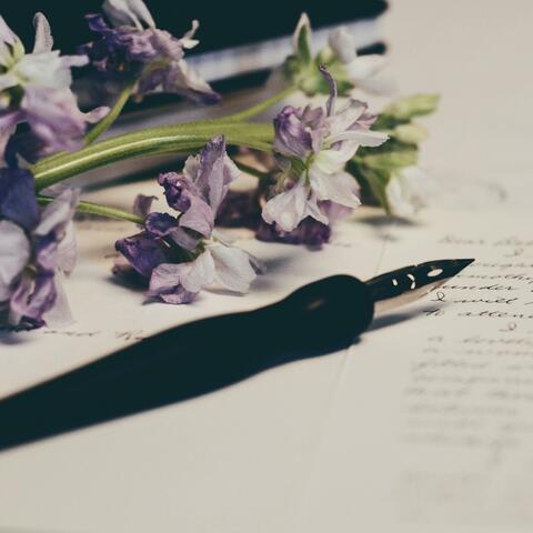 The opening of your letter
