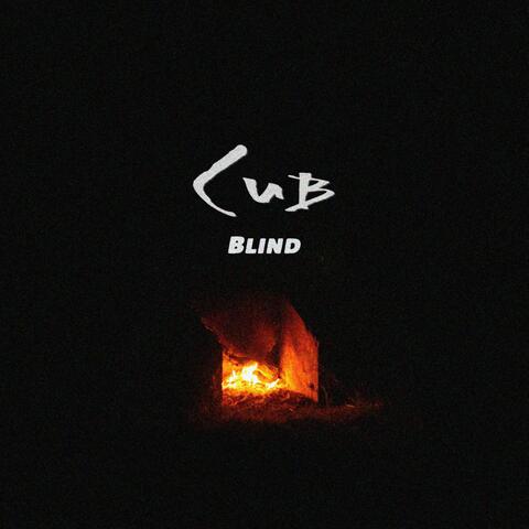 Blind