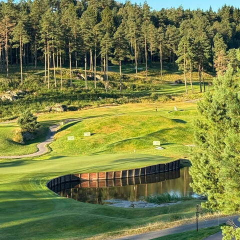 Where Champions Rise – Hills Ladies Open