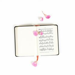 อยากจะเขียนเพลงรัก(May I have a love song)