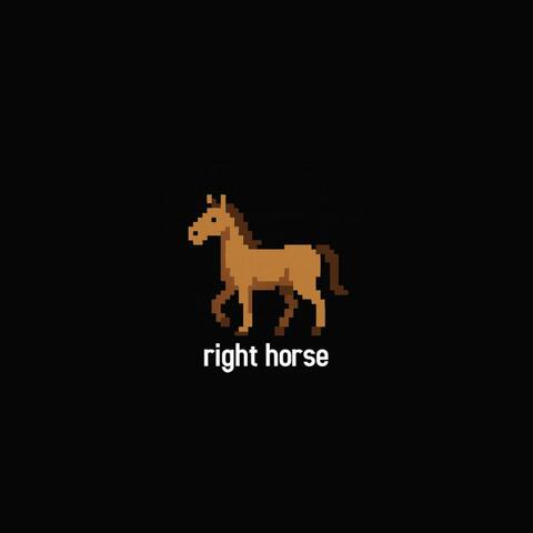 right horse
