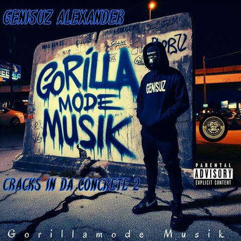 Cracks In Da Concrete