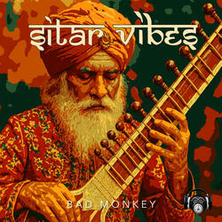 Sitar Vibes