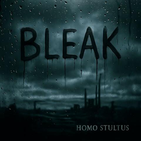 Homo Stultus