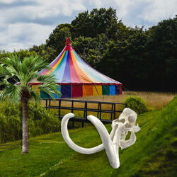 Circus Music