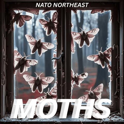 MOTHS