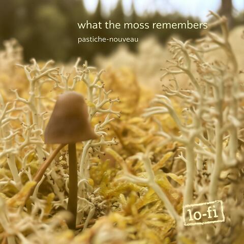 what the moss remembers