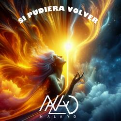 SI PUDIERA VOLVER