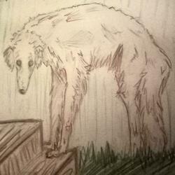 the constant worry (feat. NEET)