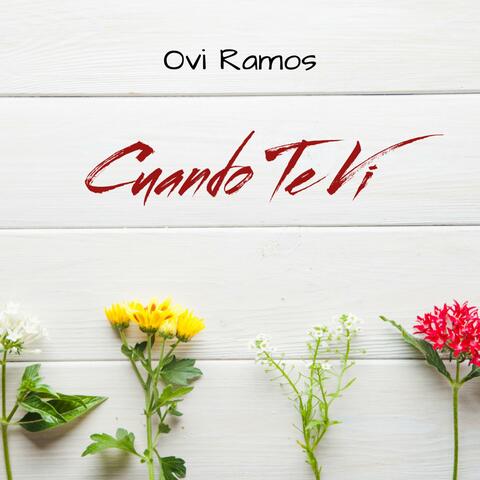 Cuando Te Vi