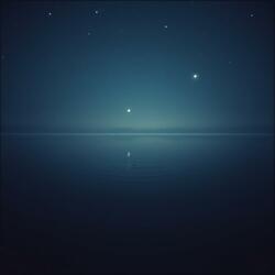 Stars In The Bleak Sky