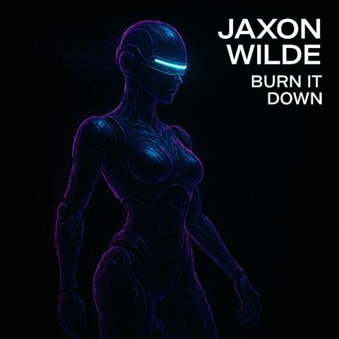 Burn It Down