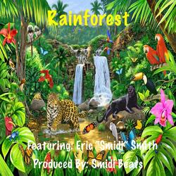 Rainforest (feat. Eric “Smidi” Smith)