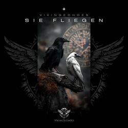 Sie fliegen