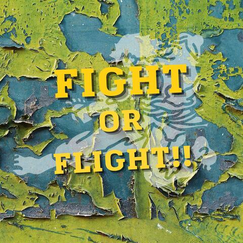fight or flight