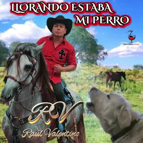 LLORANDO ESTABA MI PERRO