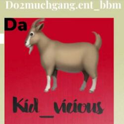 kid vicious VH2