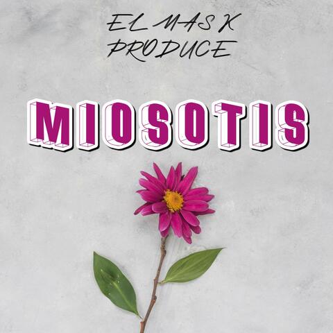 MIOSOTIS