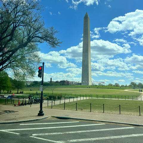 Standing still to move forward