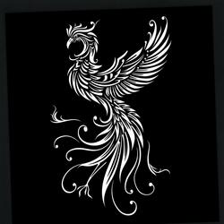 The Battle Of The Birds