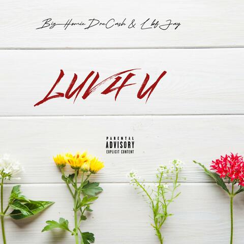 Luv 4 U (feat. Lbf Jay)