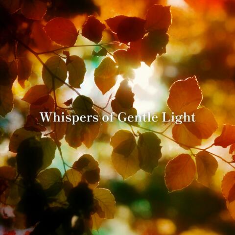Whispers of Gentle Light