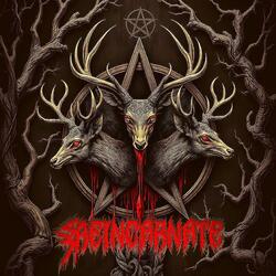 Reincarnate