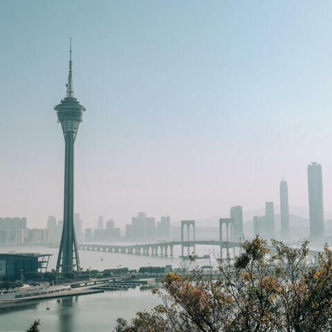 八月夏季旅行