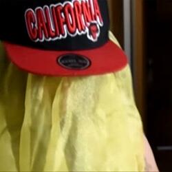 Afghan Hound (I'm In The Mall)