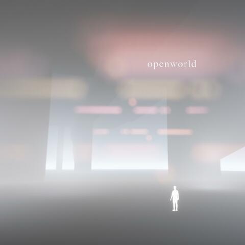 Open World