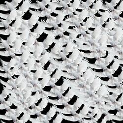 Bounce/Lost Wings (feat. Moral10k)