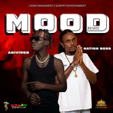 Mood Remix (feat Adi Virgo)