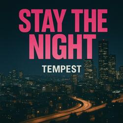 Stay The Night
