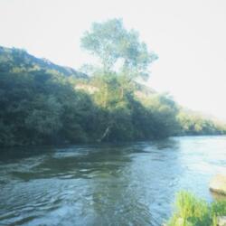 Escape Your Love (Can't Trust You) (feat. LIL Breez)