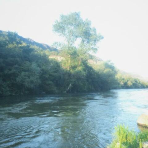 Escape Your Love (Can't Trust You) (feat. LIL Breez)