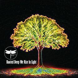 Rooted Deep We Rise In Light