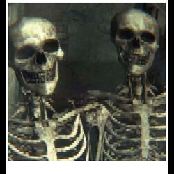 Already dead (feat. Noluvvjah)