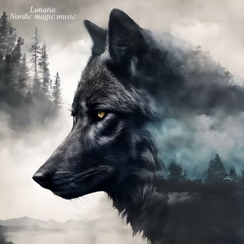 Nordic magic music