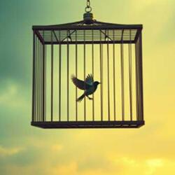 Breaking the Silence
