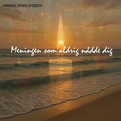 Meningen som aldrig nådde dig