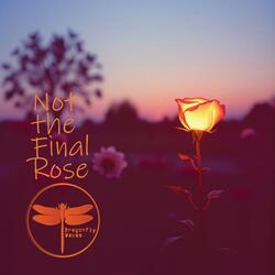 Not The Final Rose