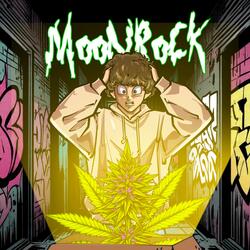 Moon Rock