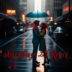 Twin (Assemblage 23 Remix)