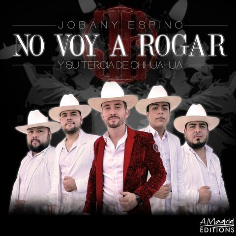 No Voy A Rogar