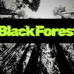 BlackForest